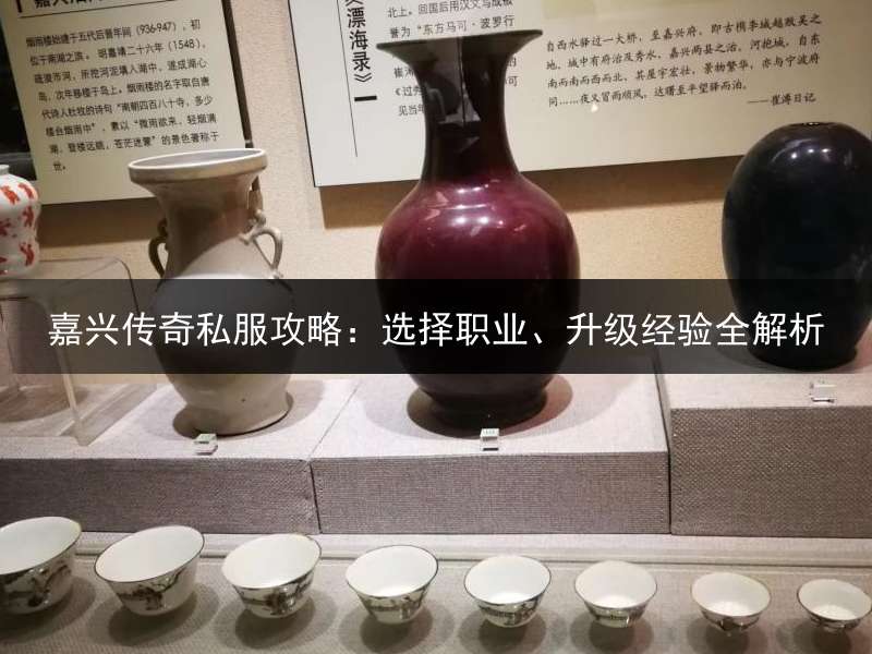 嘉兴传奇私服攻略：选择职业、升级经验全解析